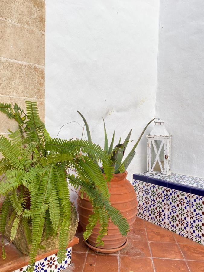 Santa Rosalia Villa Ciutadella  Ngoại thất bức ảnh